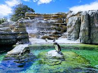 Woodland Park Zoo photo 5