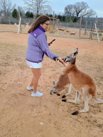 Nomads animal encounter photo 3