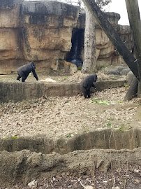 Dragon's Lair photo 2