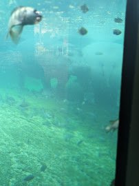 Dragon's Lair photo 5