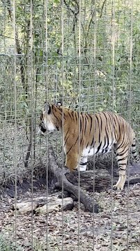 Ellen Trout Zoo photo 2
