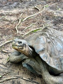 Ellen Trout Zoo photo 5