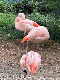 Ellen Trout Zoo photo 6