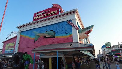 Ripley's Believe It or Not! photo 2