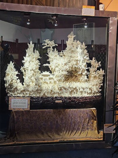 Ripley's Believe It or Not! photo 4