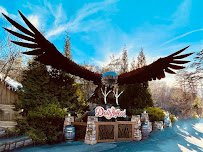 Dollywood photo 4