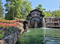 Dollywood photo 6