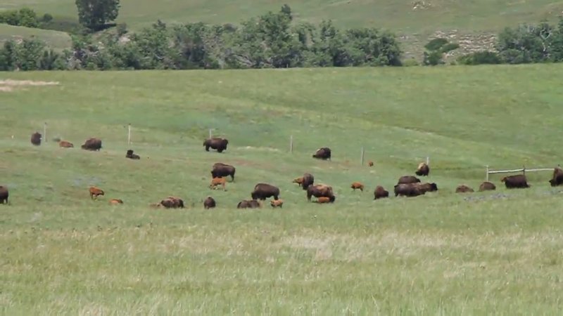Fort Robinson Museum & History Center photo 2