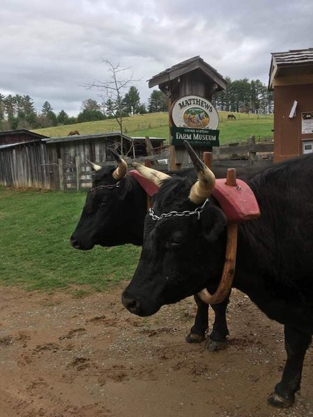 Matthews Living History Farm Museum photo 6