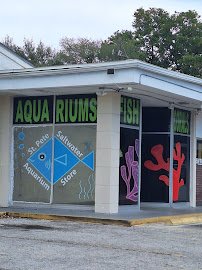 St. Pete Saltwater Aquarium Store