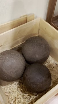 Pettigrew Home & Museum photo 2