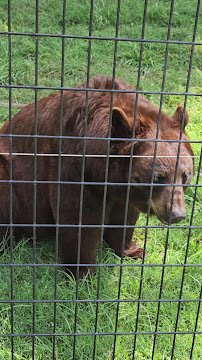 Frank Buck Zoo photo 2