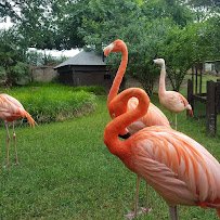 Frank Buck Zoo photo 3