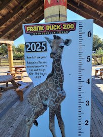 Frank Buck Zoo photo 4