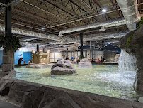 Jungle Reef Springs Touch Aquarium