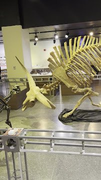 Lafayette Science Museum photo 2