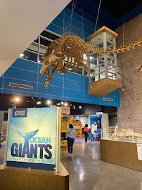 Lafayette Science Museum photo 3