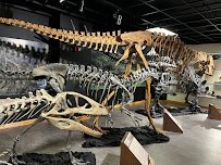 Lafayette Science Museum photo 5