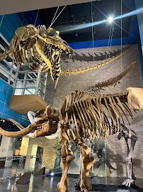 Lafayette Science Museum photo 6
