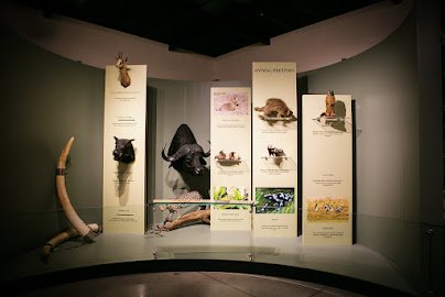Great Valley Museum and Planetarium photo 6