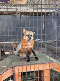 Cat Tales Wildlife Center photo 4