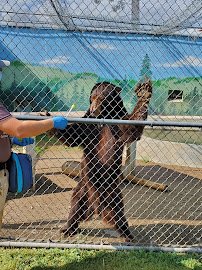 Cat Tales Wildlife Center photo 5