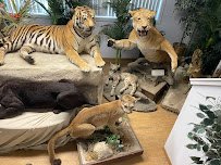Cat Tales Wildlife Center photo 6