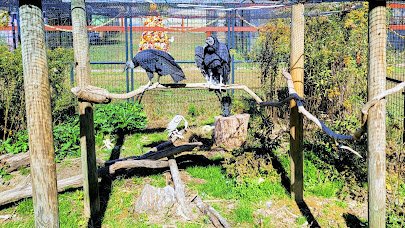 3 Palms Zoo & Education Center photo 3