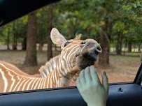Cherokee Trace Drive-Thru Safari photo 3
