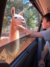 Cherokee Trace Drive-Thru Safari photo 6