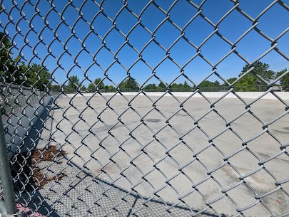 The Doge Dojo skating rink photo 2