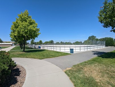 The Doge Dojo skating rink photo 3