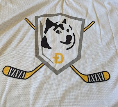 The Doge Dojo skating rink photo 4