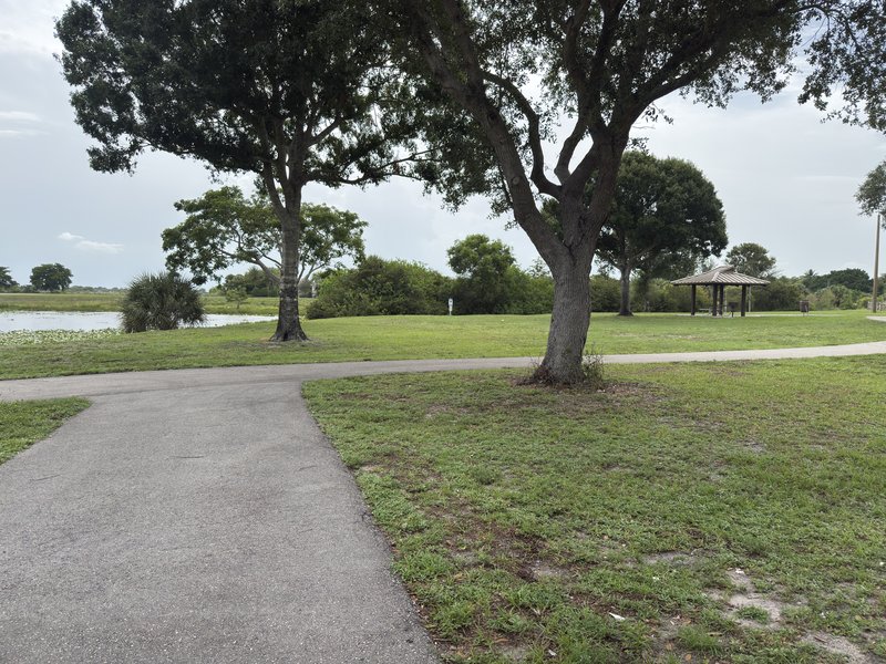 Coconut Cove Waterpark and Community Center photo 6
