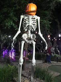 Mini golf photo 2