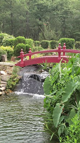 Dothan Area Botanical Gardens photo 2