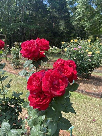 Dothan Area Botanical Gardens photo 4