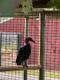 Brights Zoo photo 6