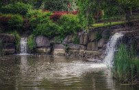 Pine Creek Miniature Golf photo 6