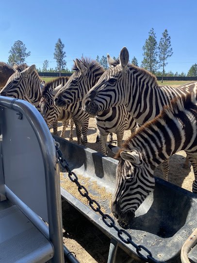 Little Creek Landing Safari Park
