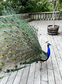 Hearld & Marge Ambler Diversity of Life Exhibits photo 3