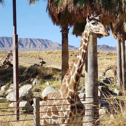 African Village photo 3