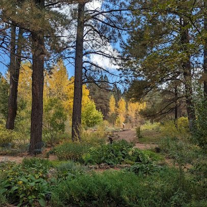 The Arboretum at Flagstaff photo 5