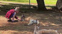 Kentucky Down Under Adventure Zoo photo 2
