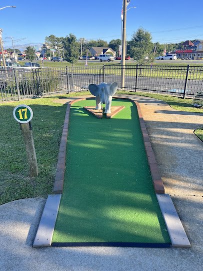 Baja Mini Golf photo 3