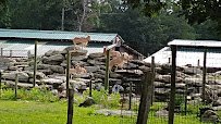 Catoctin Wildlife Preserve photo 6
