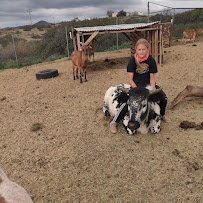 Laughing Horse Acres