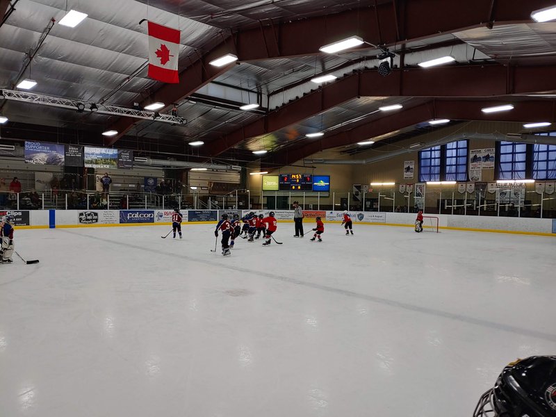 Stumptown Ice Den
