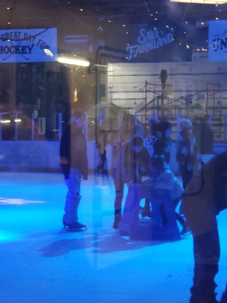 Stumptown Ice Den photo 5