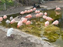 Tracy Aviary at Liberty Park photo 4